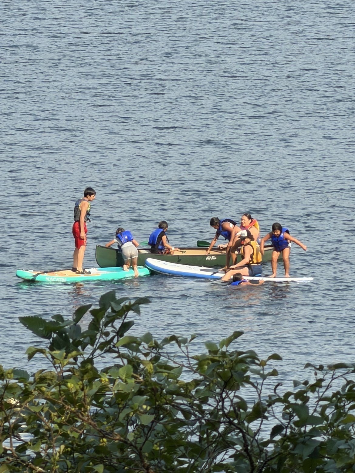Campers together on paddleboards on the lake